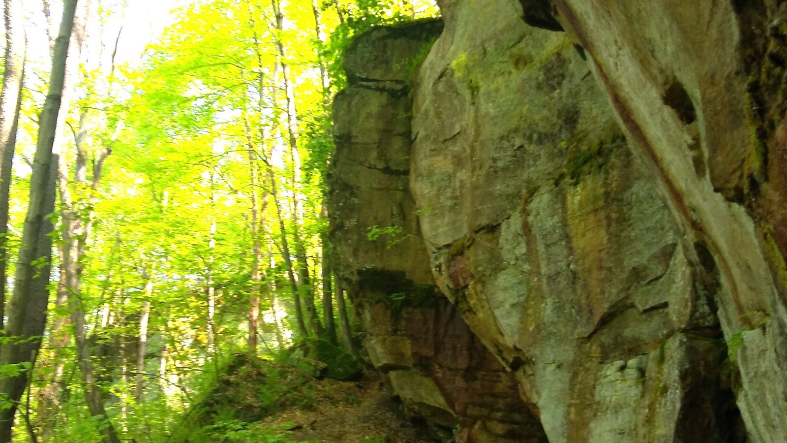 Conservation Groups + Angling Community in Steelhead Alley: A Hub Pillar
